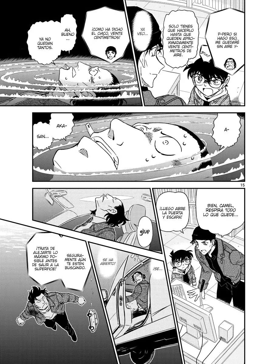 Detective Conan capítulo 1063 página 15