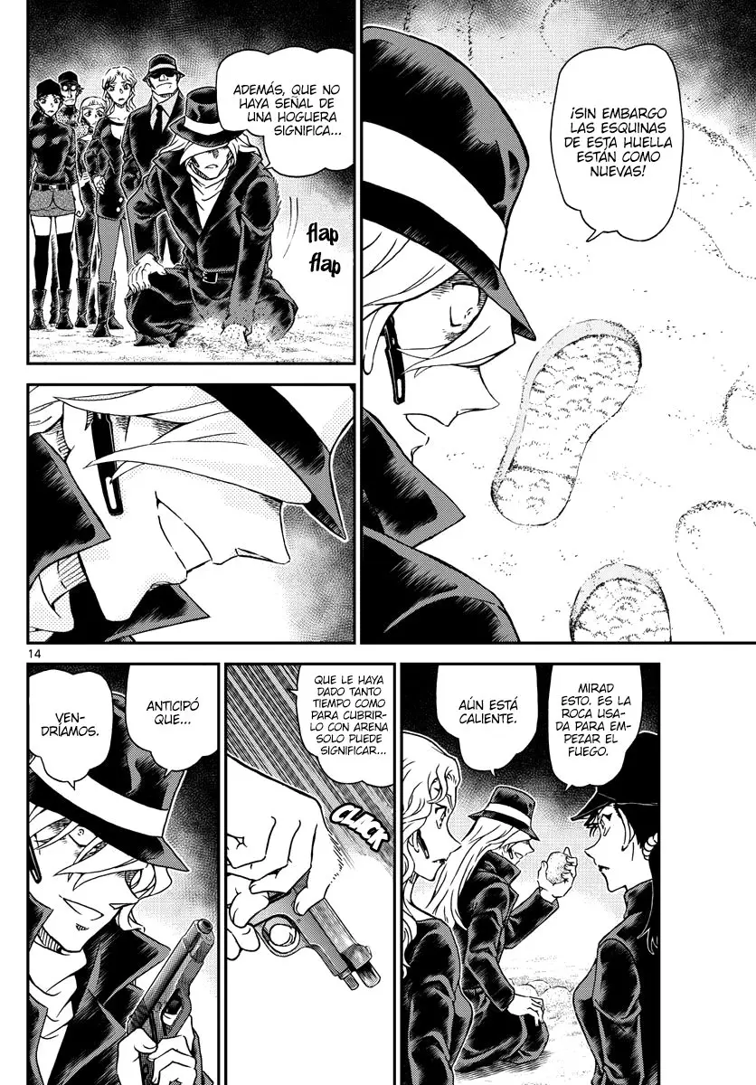 Detective Conan capítulo 1064 página 14