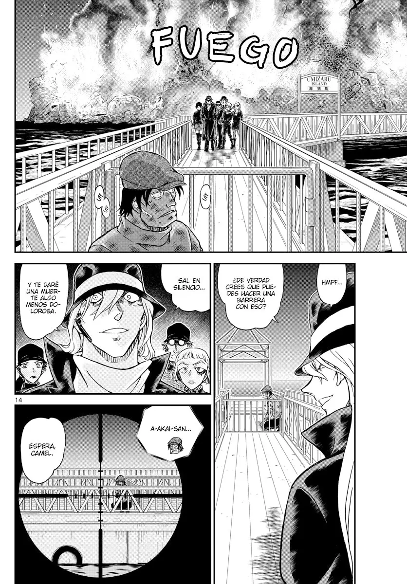 Detective Conan capítulo 1065 página 14