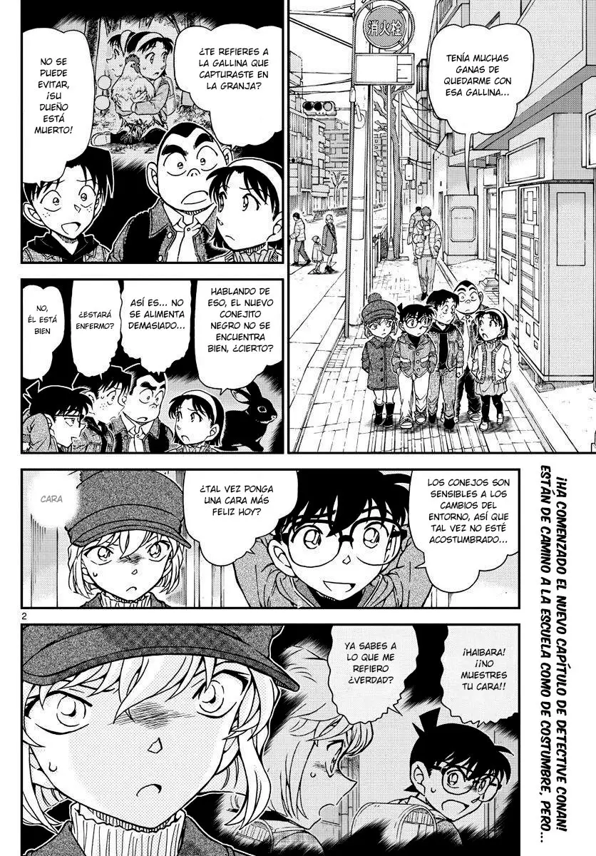 Detective Conan capítulo 1070 página 3