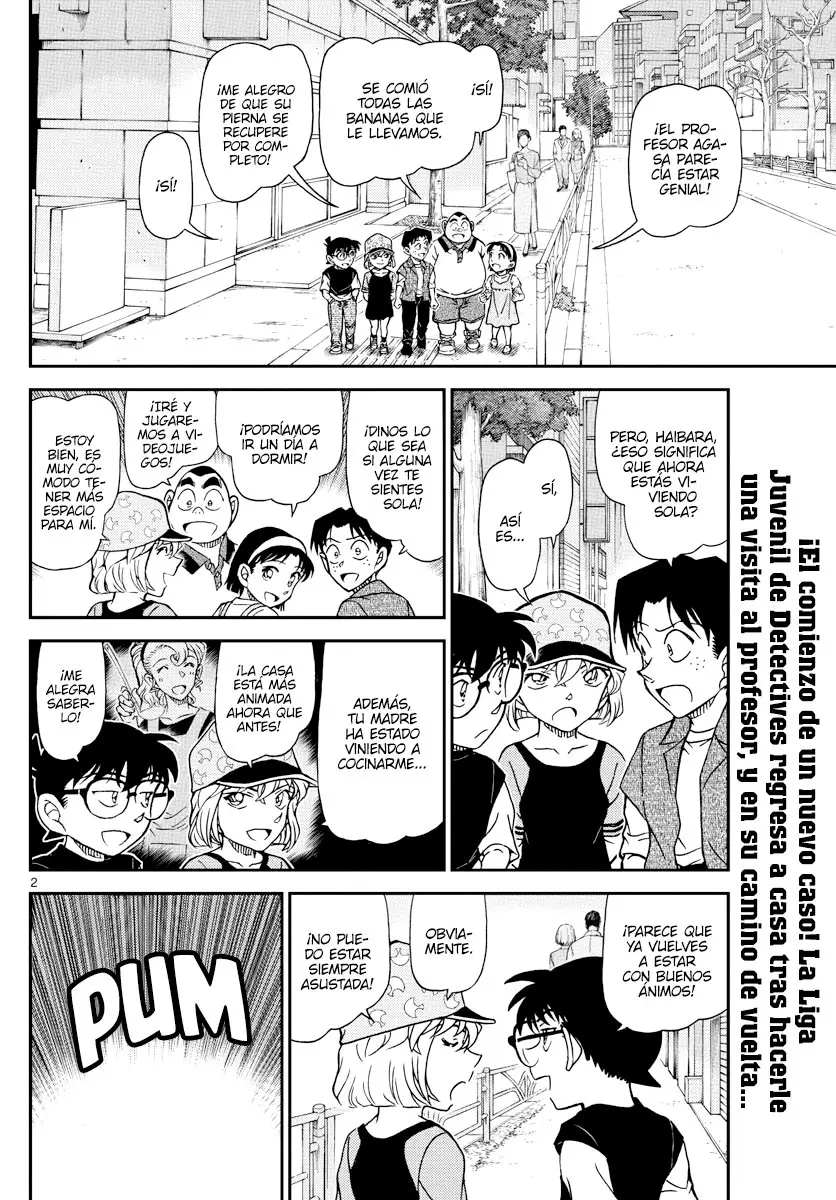 Detective Conan capítulo 1079 página 2