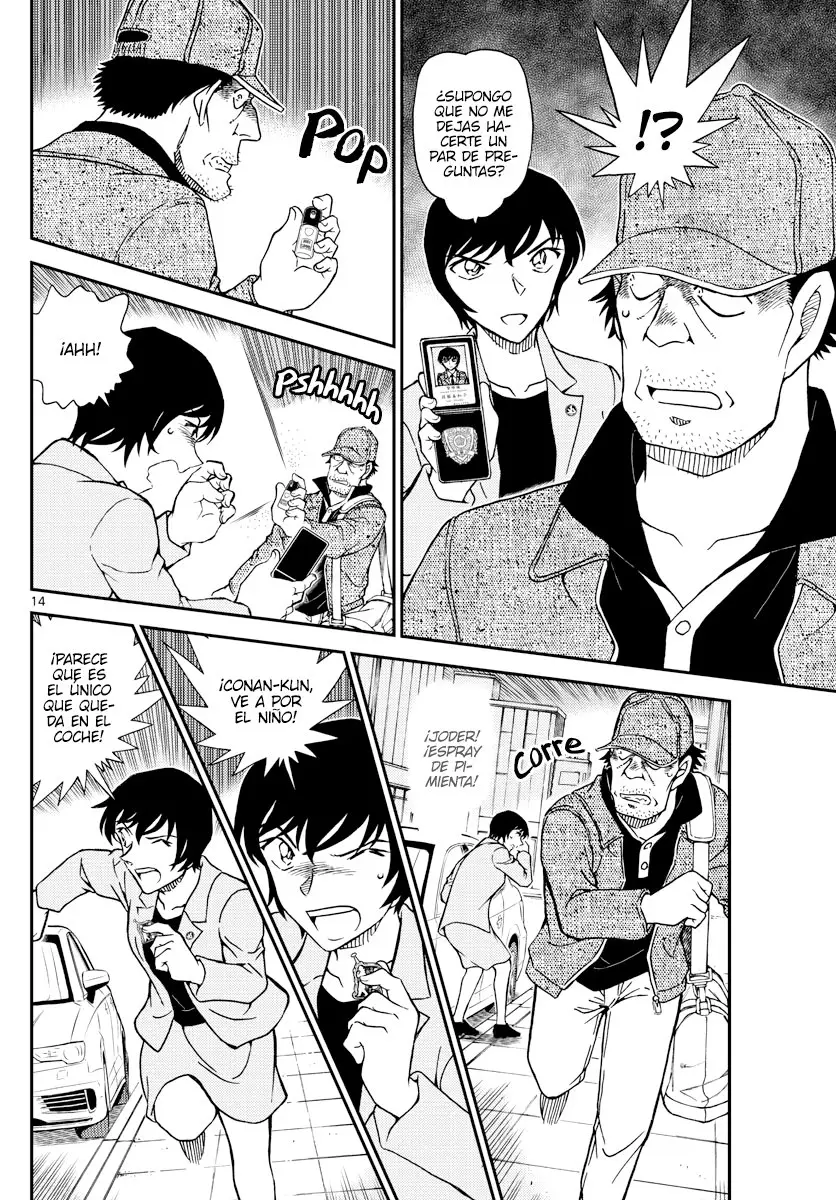 Detective Conan capítulo 1080 página 14