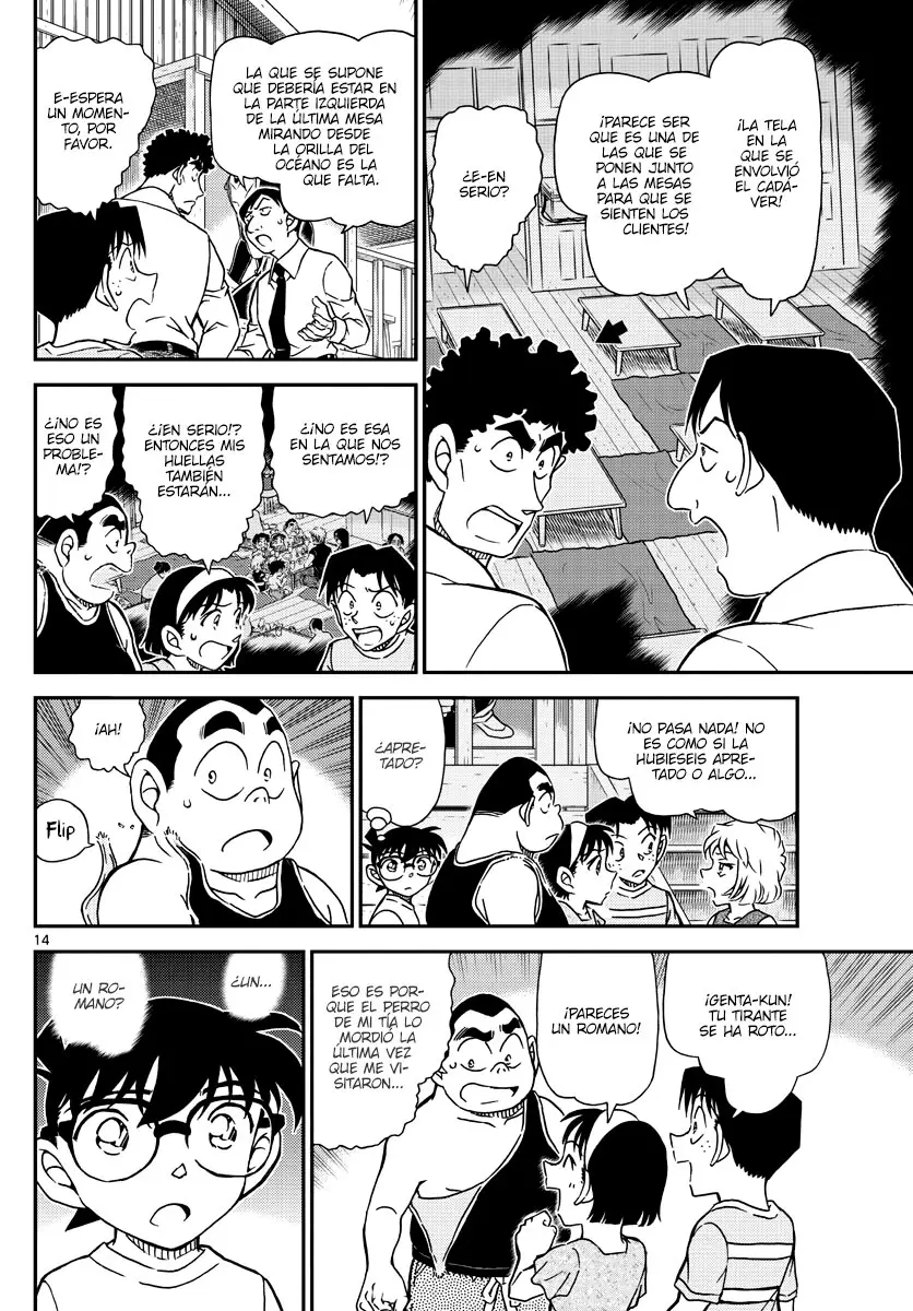 Detective Conan capítulo 1098 página 14