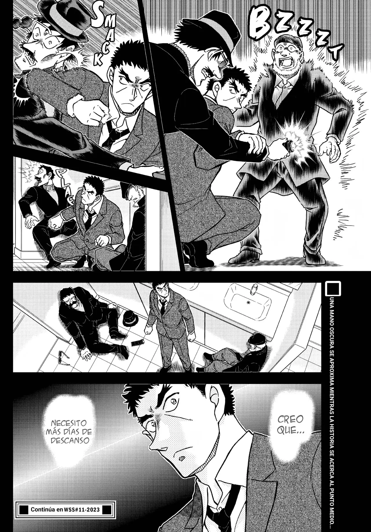 Detective Conan capítulo 1106 página 17