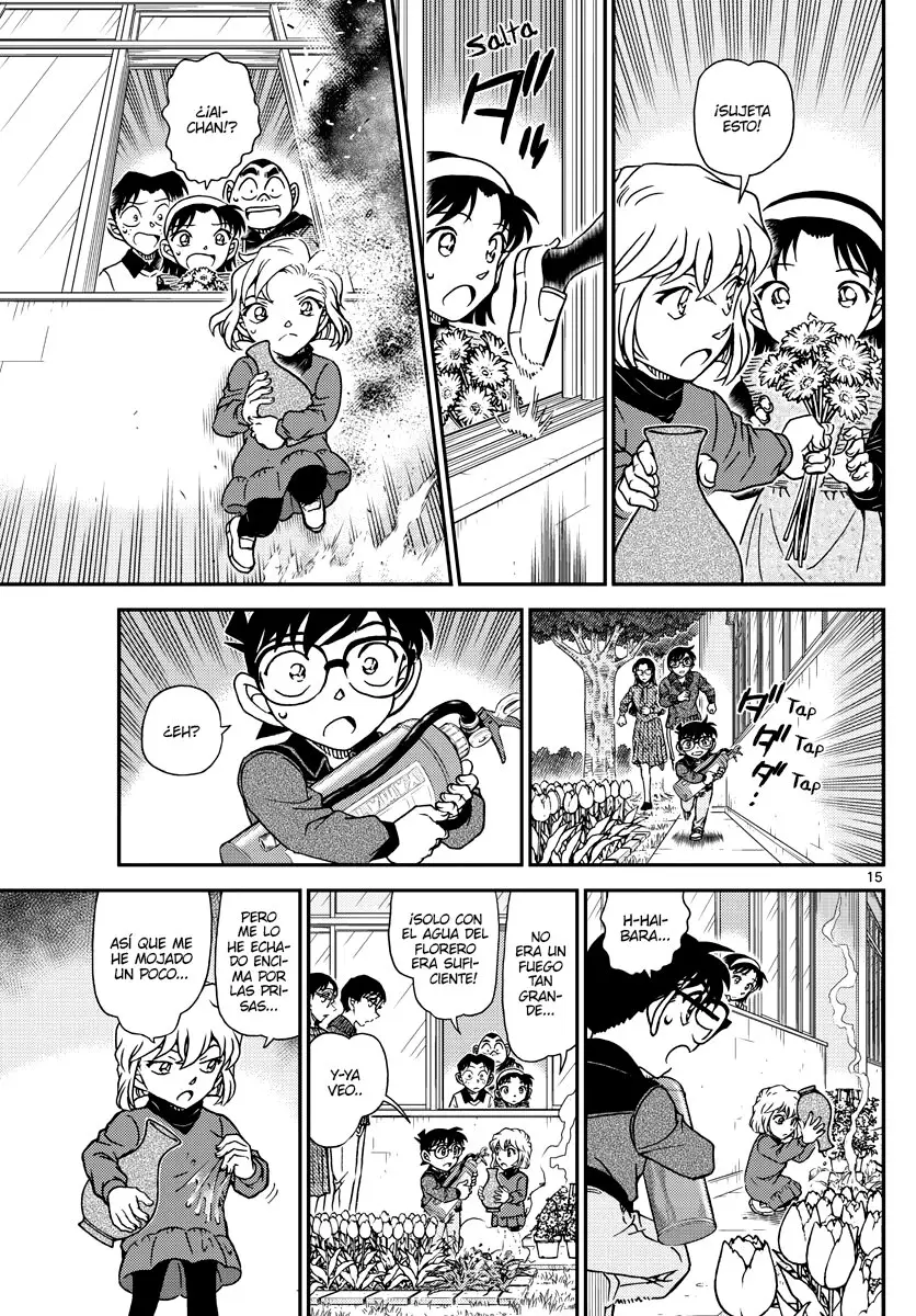 Detective Conan capítulo 1110 página 15