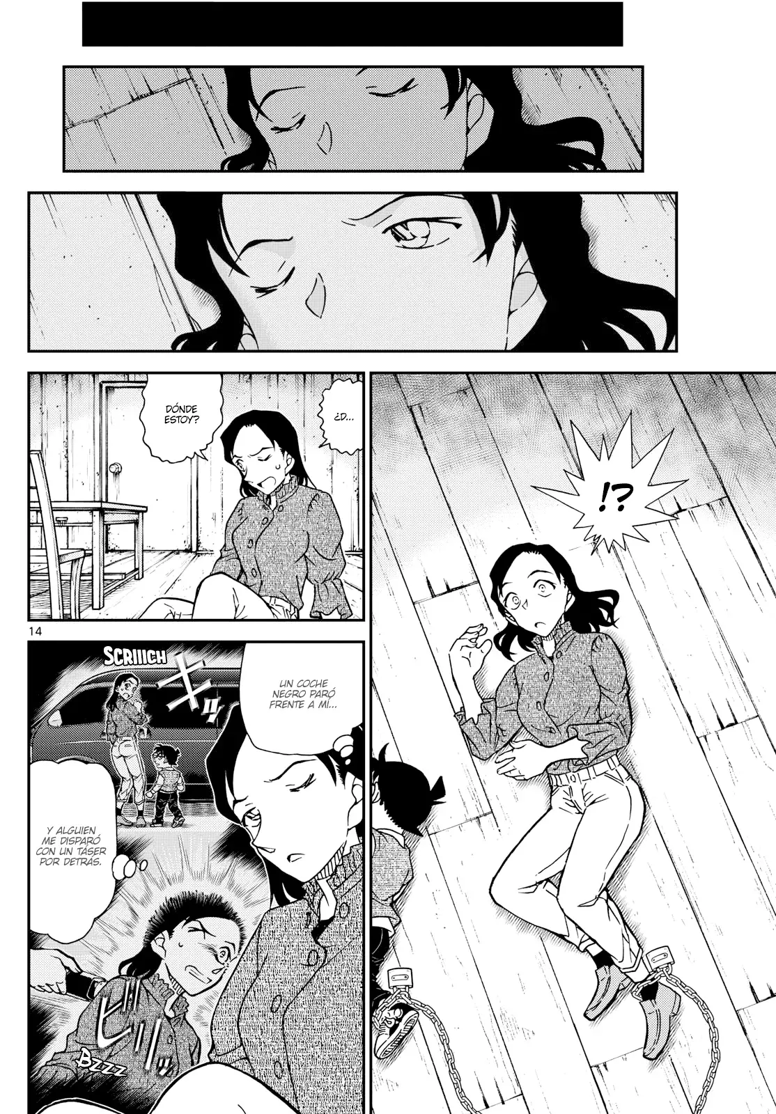 Detective Conan capítulo 1126 página 14
