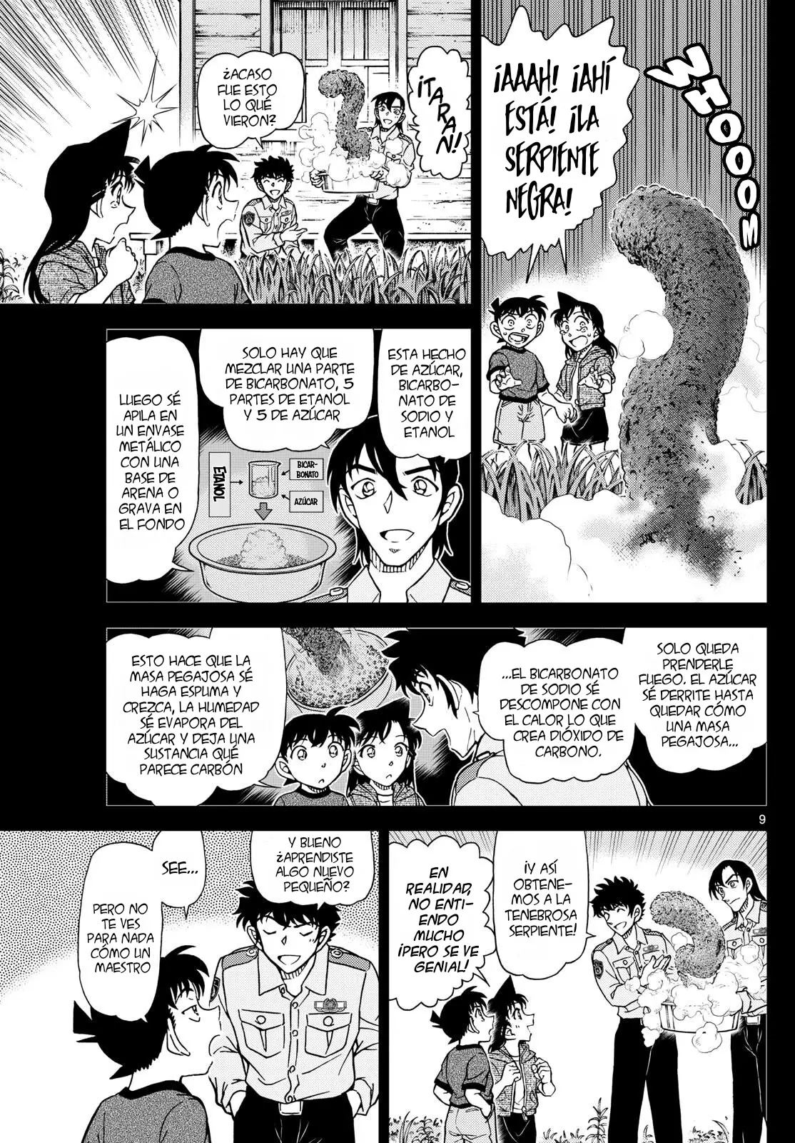Detective Conan capítulo 1135 página 11