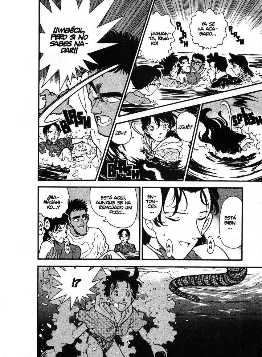 Detective Conan capítulo 163 página 15