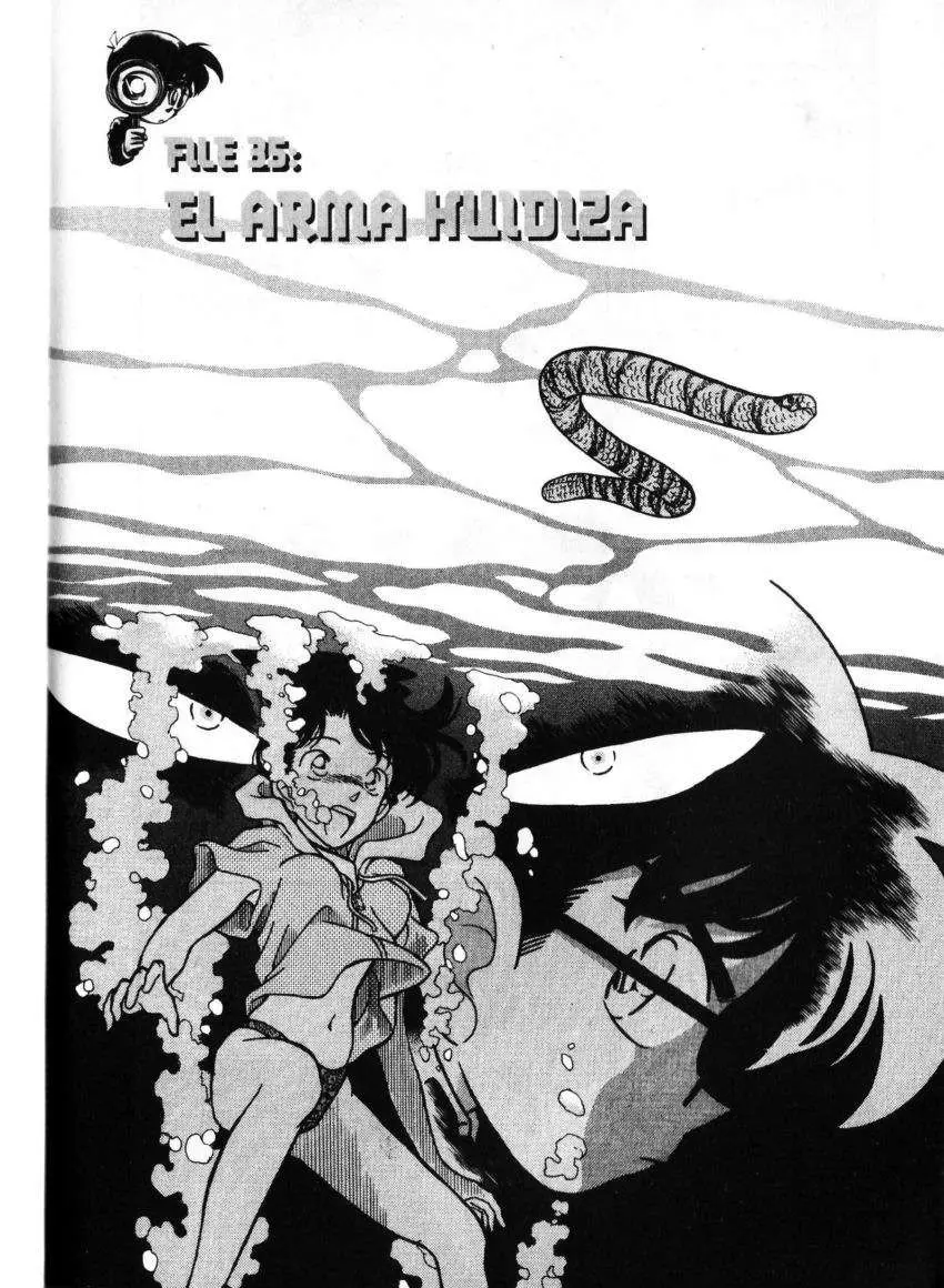 Detective Conan capítulo 164 página 1