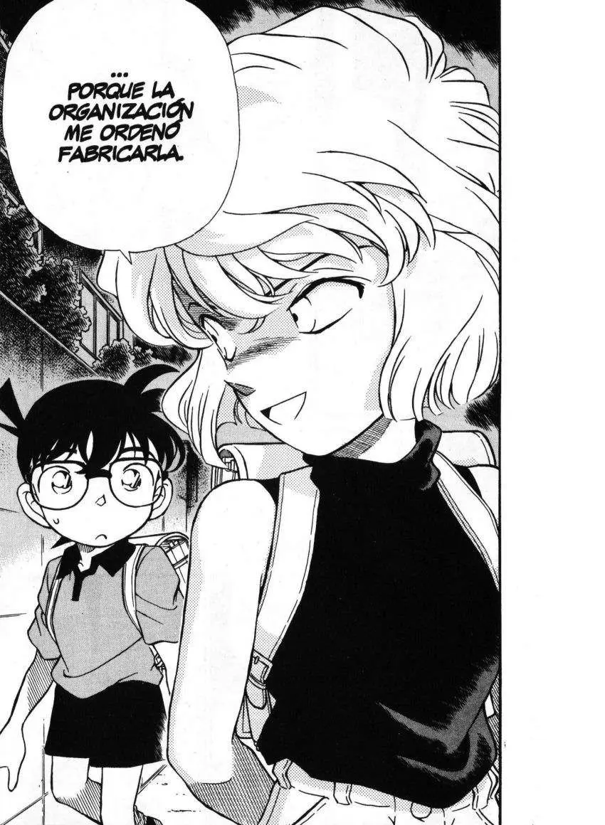 Detective Conan capítulo 178 página 13