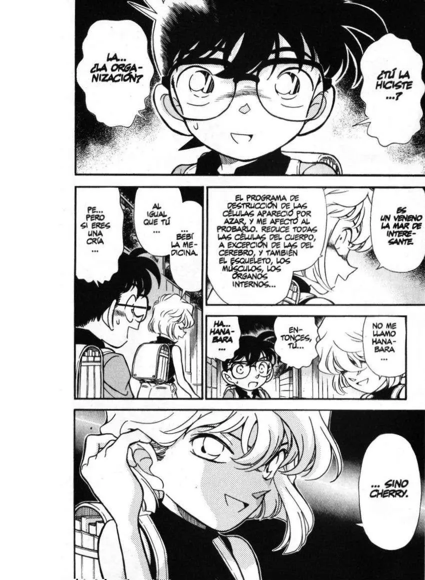 Detective Conan capítulo 178 página 14