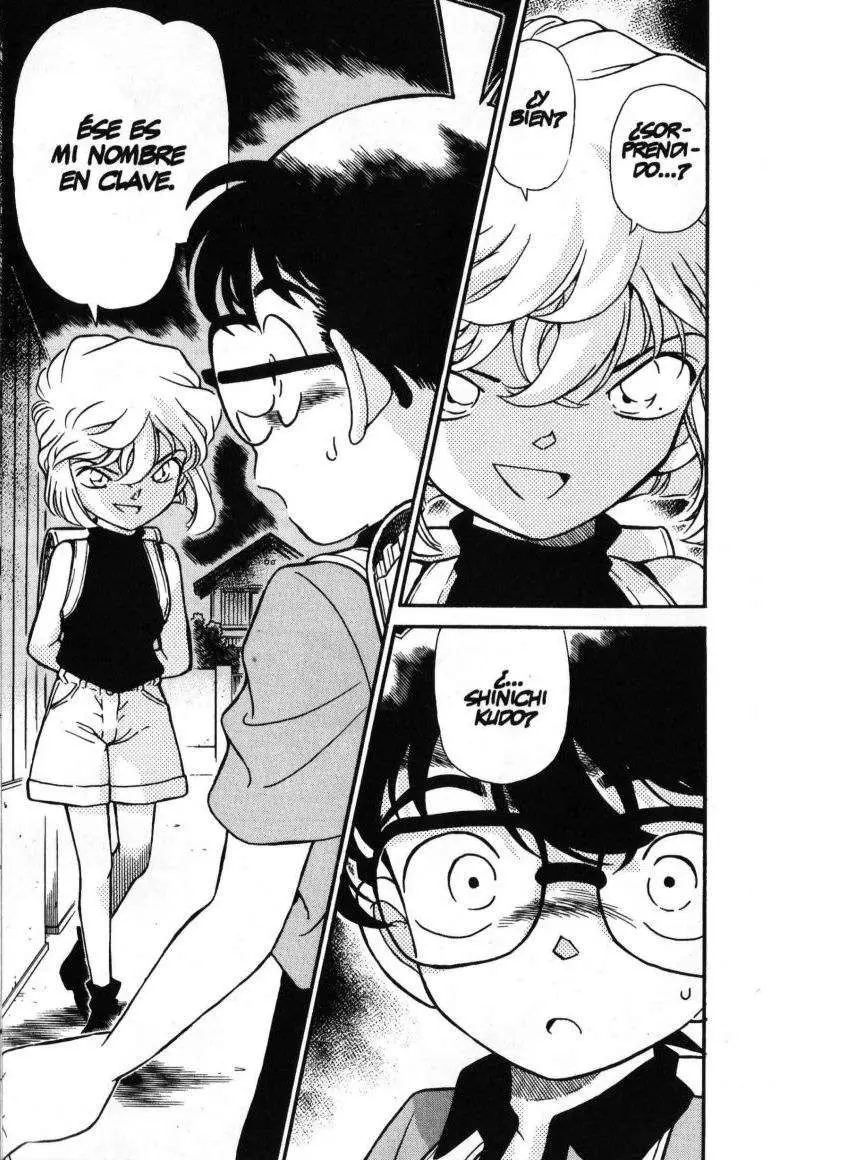 Detective Conan capítulo 178 página 15