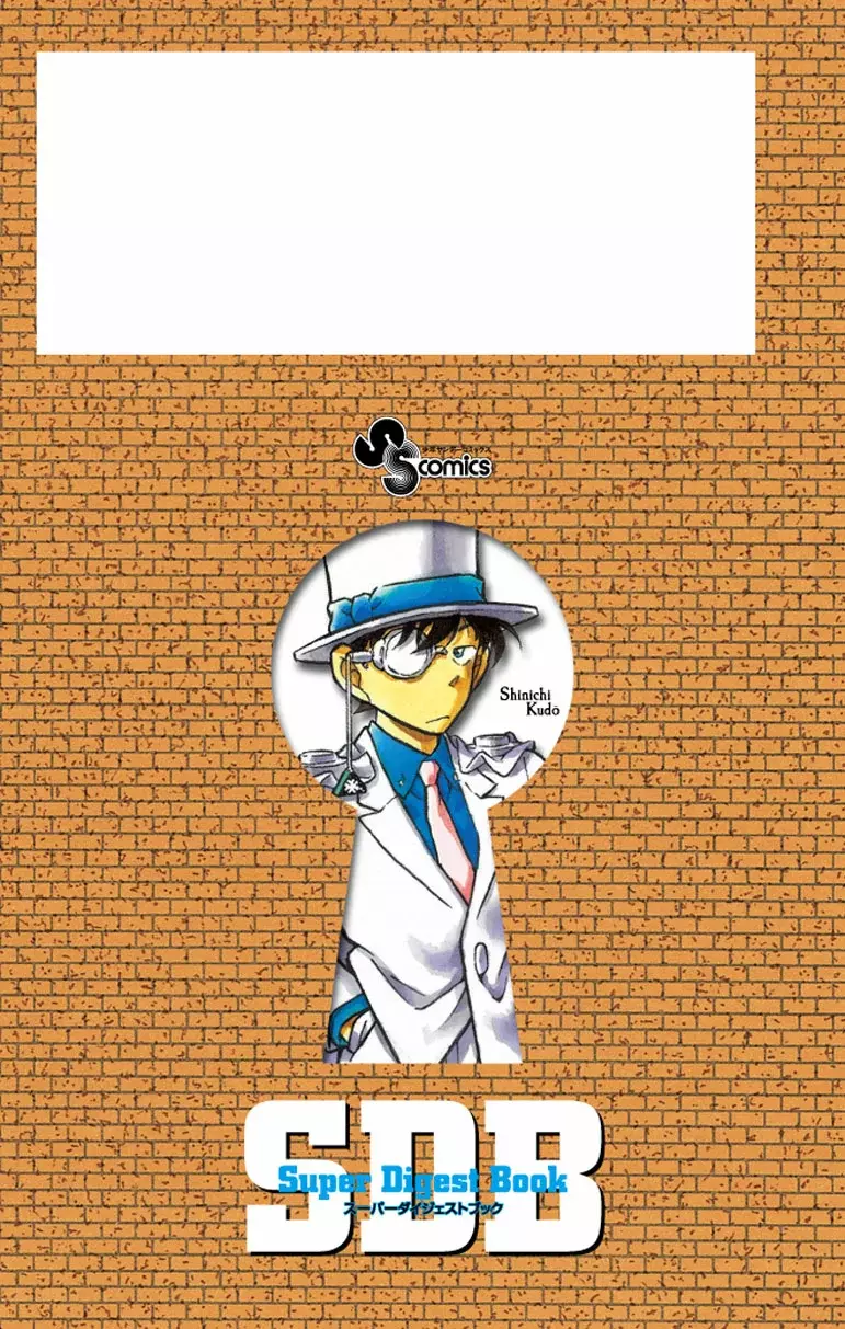 Detective Conan capítulo 200.5 página 12