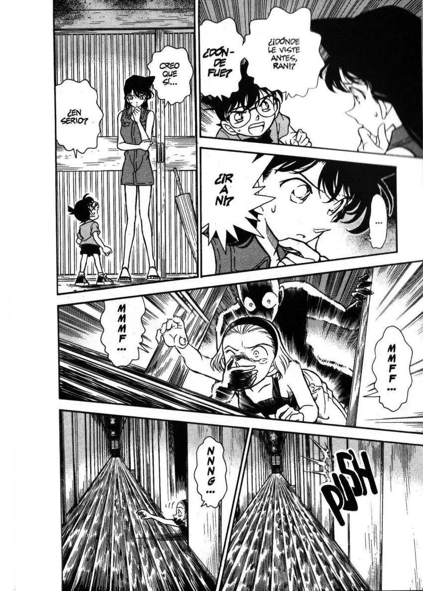 Detective Conan capítulo 219 página 17