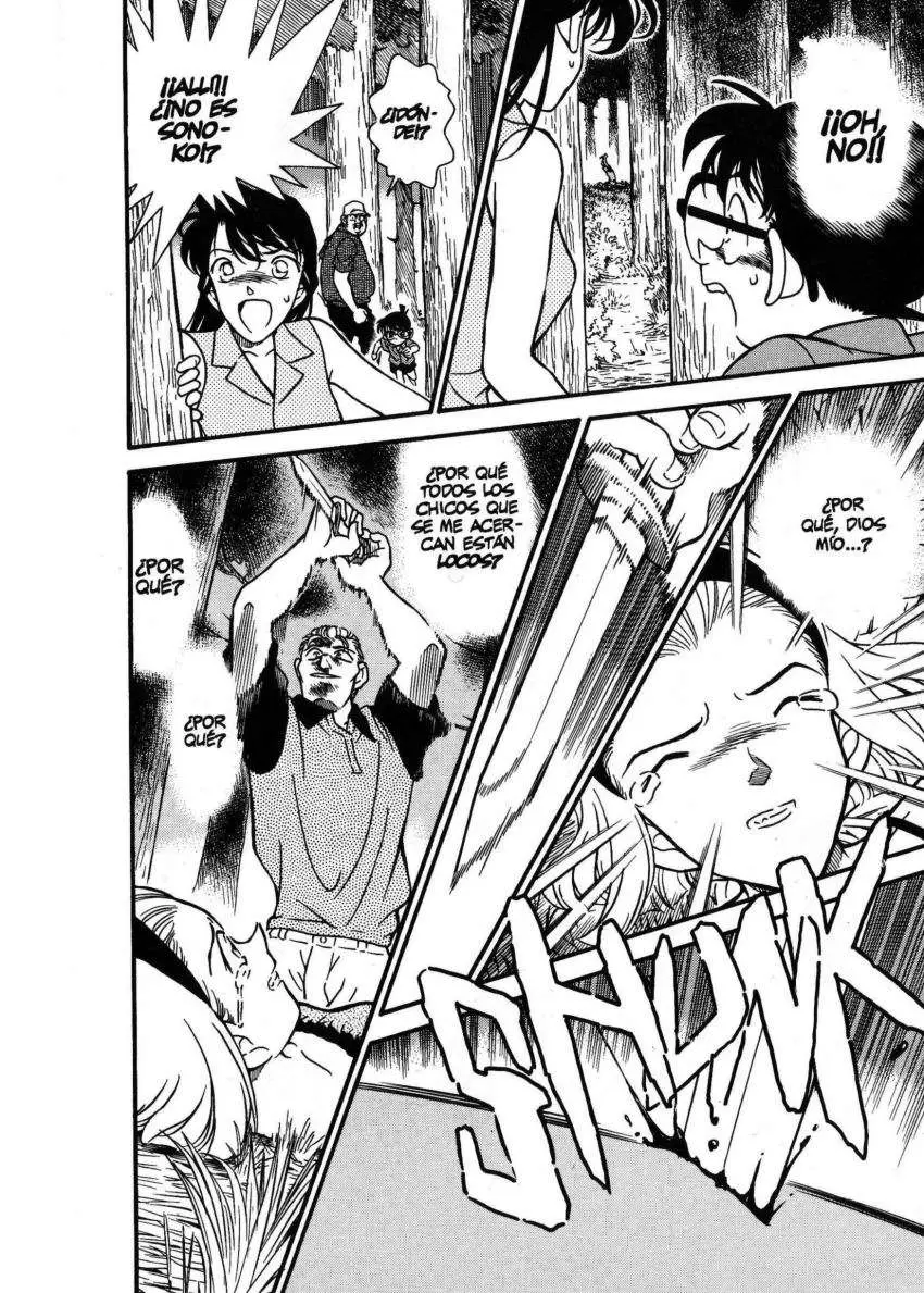 Detective Conan capítulo 221 página 13