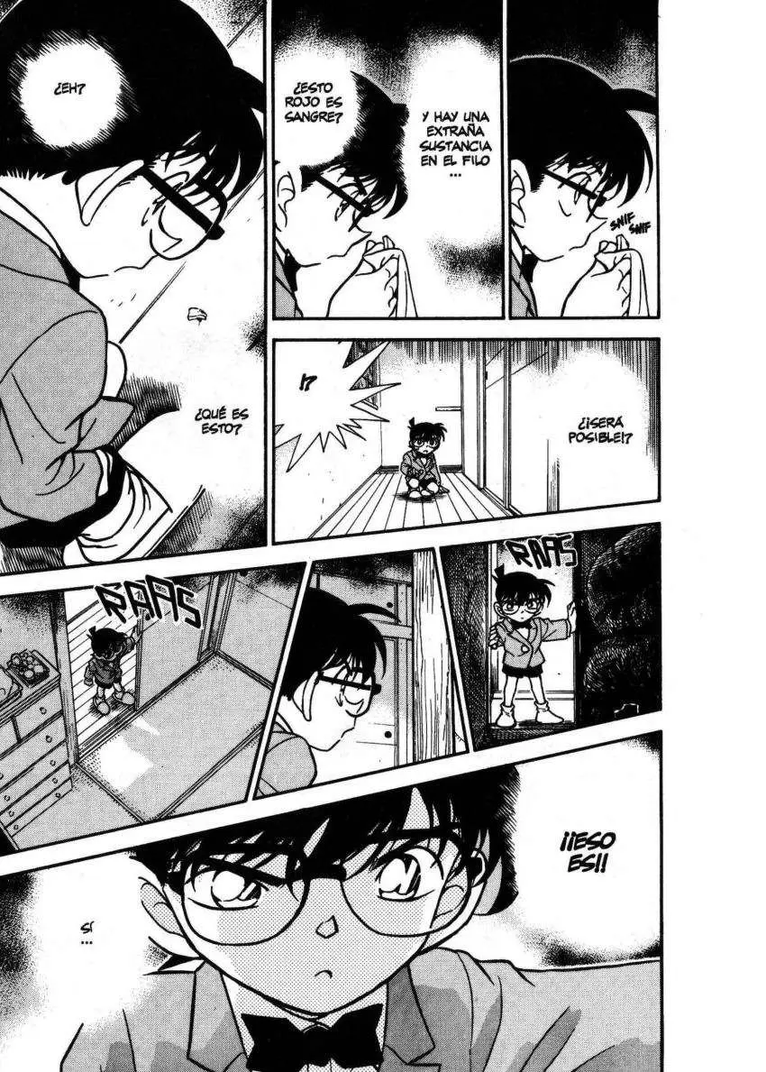 Detective Conan capítulo 236 página 14