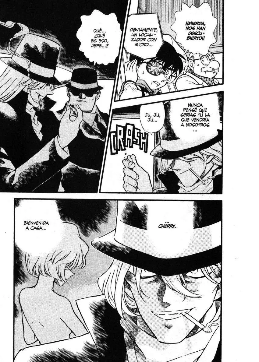 Detective Conan capítulo 238 página 15