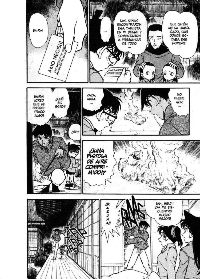 Detective Conan capítulo 249 página 13
