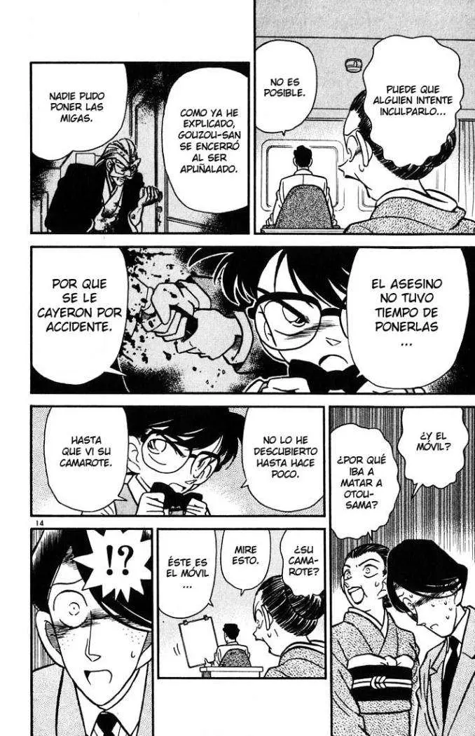 Detective Conan capítulo 25 página 15