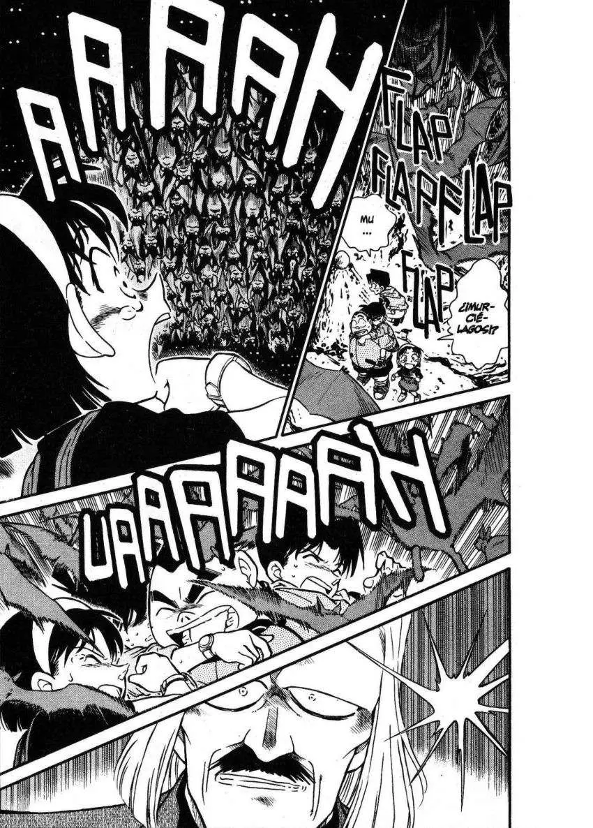 Detective Conan capítulo 252 página 14