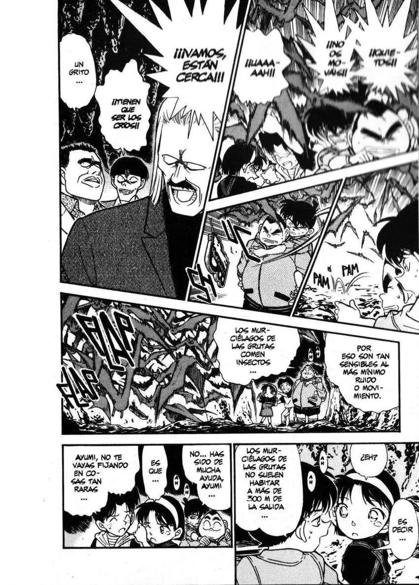 Detective Conan capítulo 252 página 15