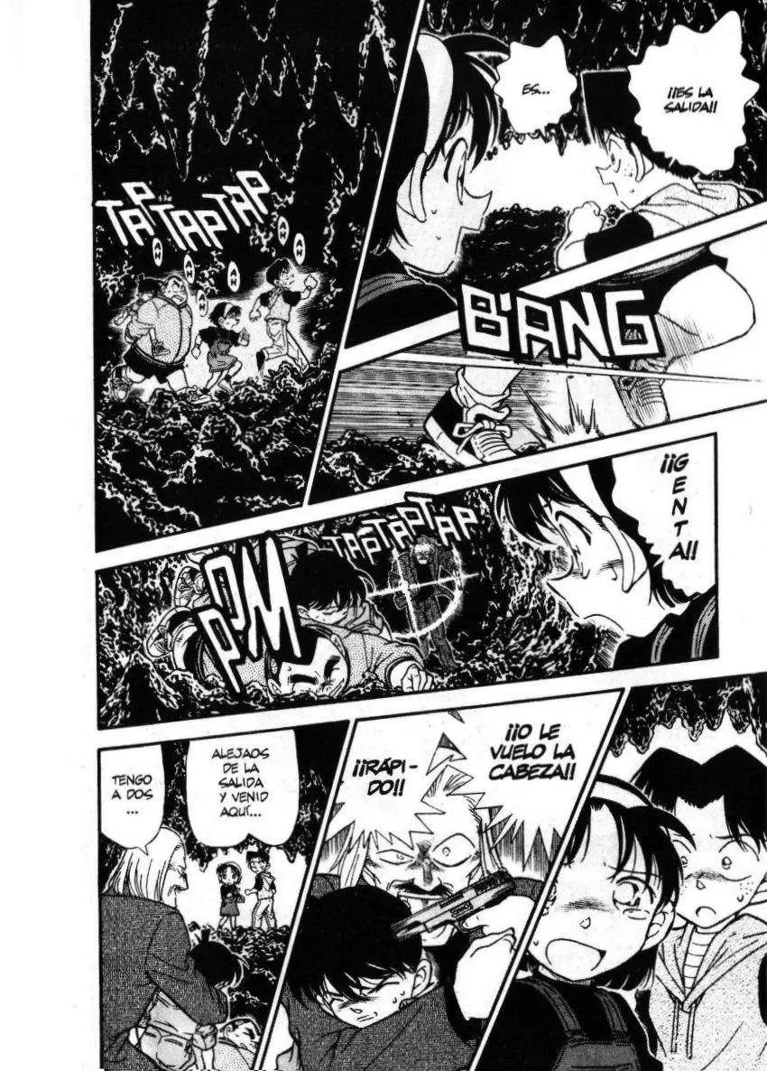 Detective Conan capítulo 253 página 11
