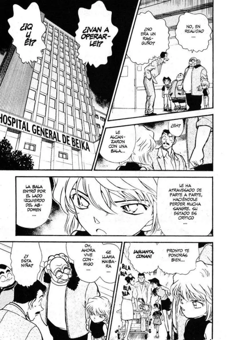 Detective Conan capítulo 253 página 14