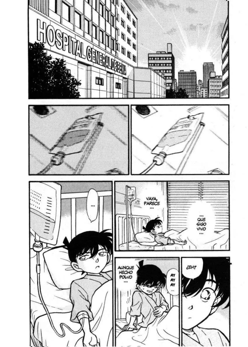 Detective Conan capítulo 254 página 3