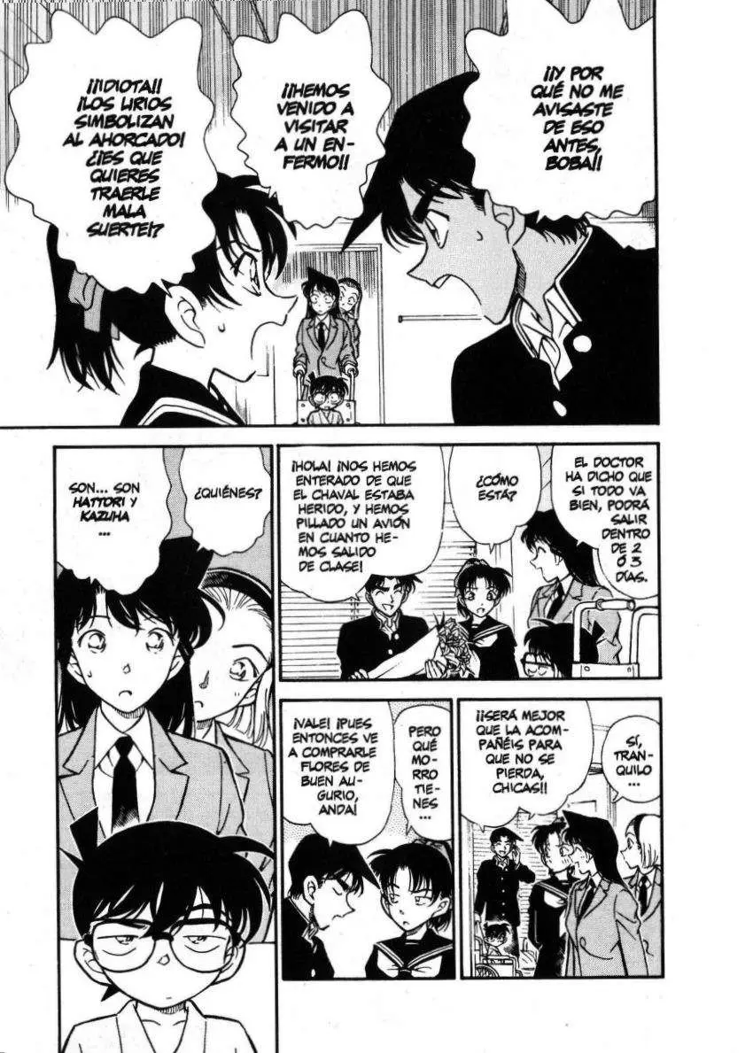 Detective Conan capítulo 254 página 10