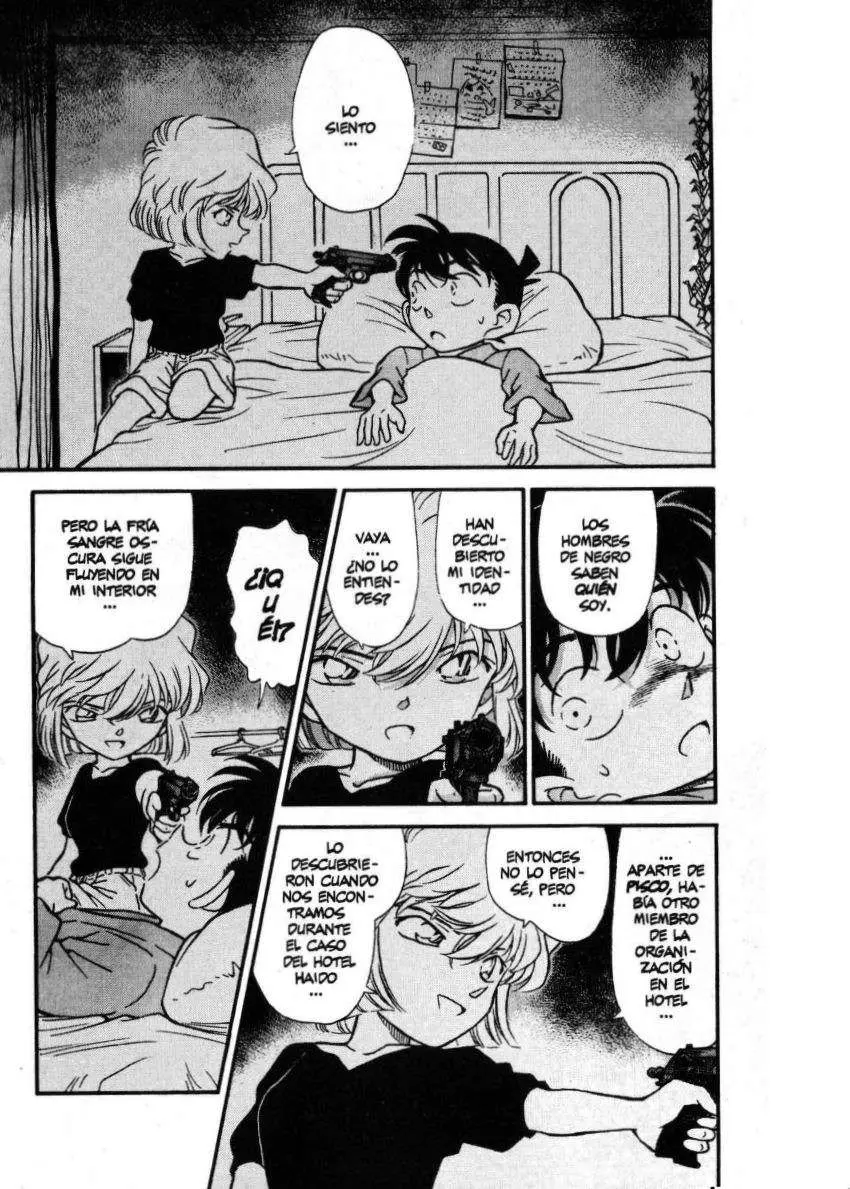 Detective Conan capítulo 255 página 2
