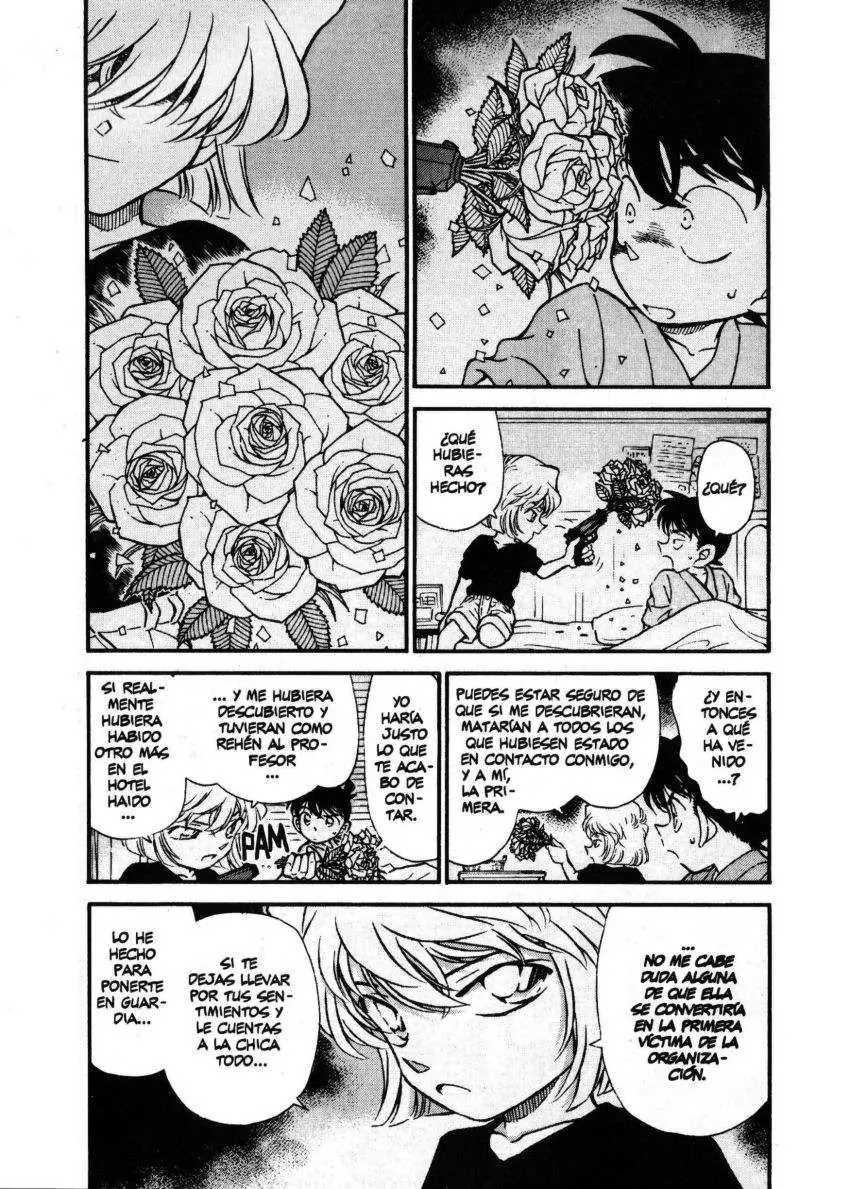 Detective Conan capítulo 255 página 4