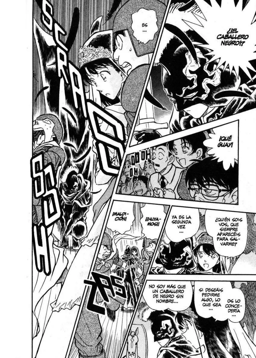 Detective Conan capítulo 255 página 13