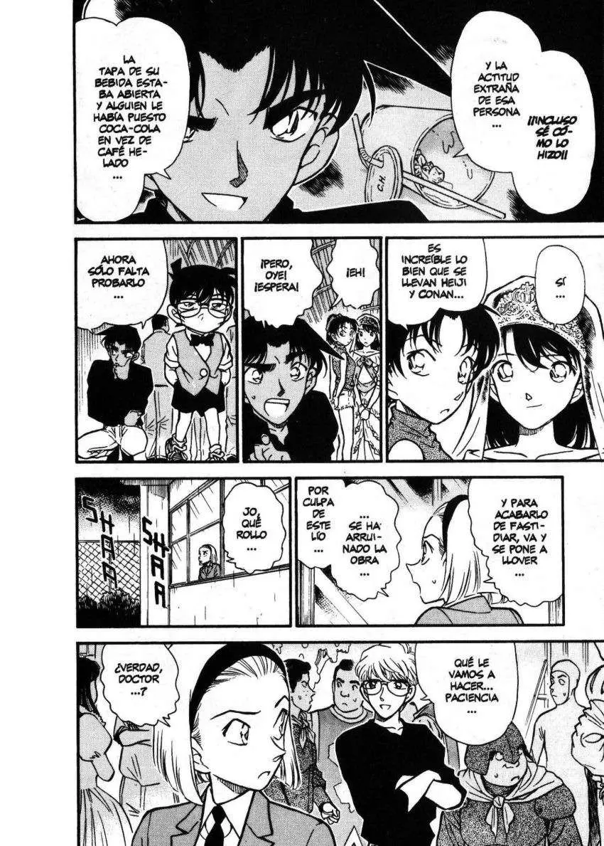 Detective Conan capítulo 256 página 13