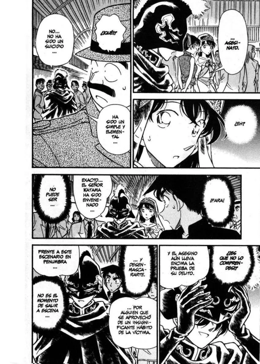 Detective Conan capítulo 256 página 15