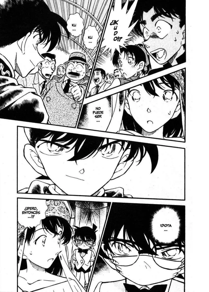 Detective Conan capítulo 256 página 17