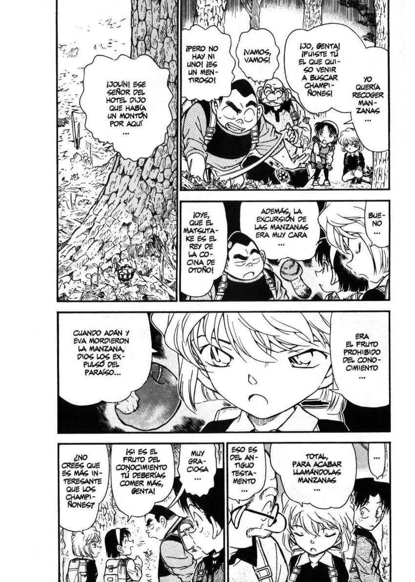 Detective Conan capítulo 273 página 3