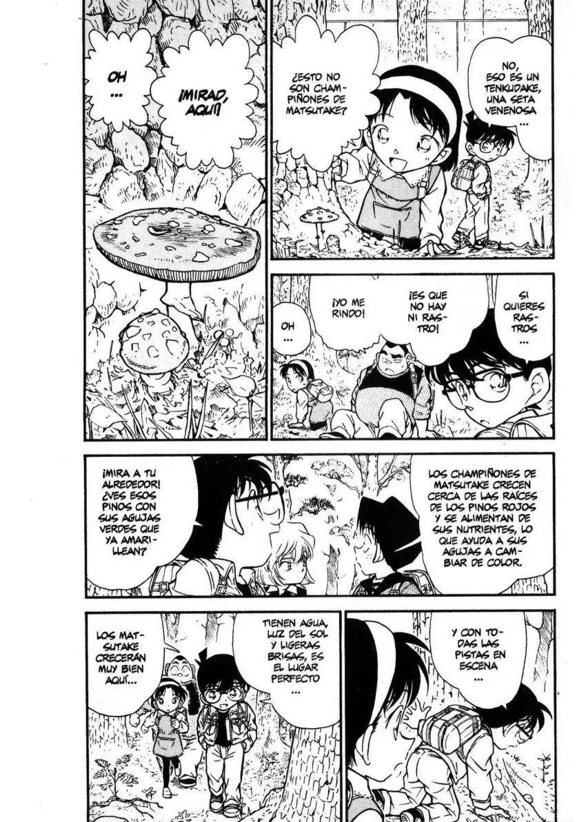 Detective Conan capítulo 273 página 5