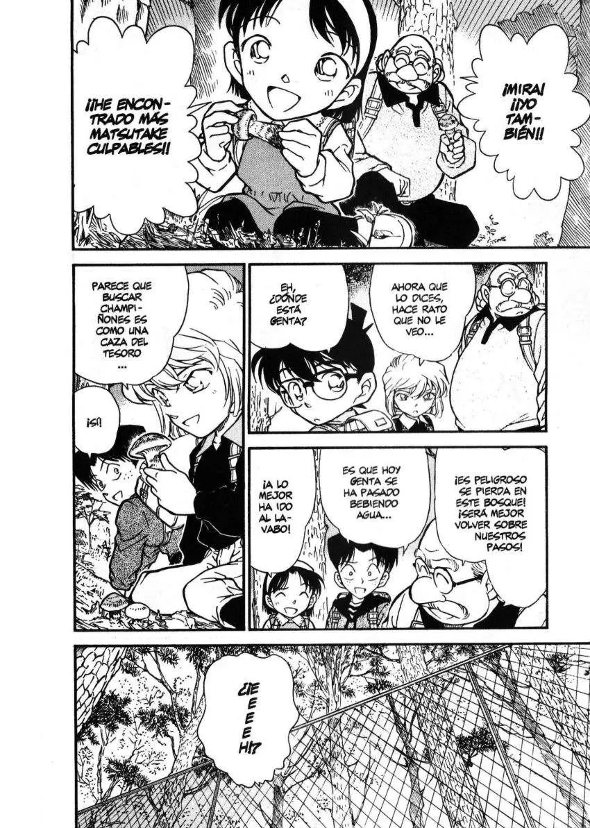 Detective Conan capítulo 273 página 7