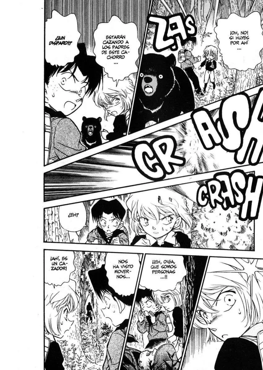 Detective Conan capítulo 273 página 13