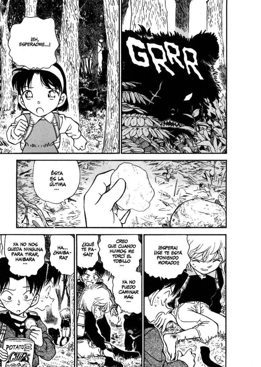 Detective Conan capítulo 274 página 10
