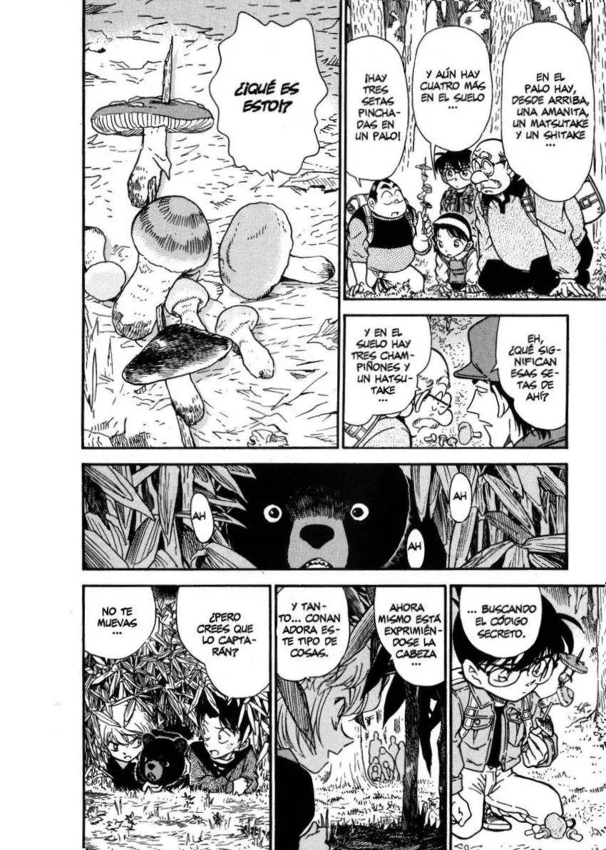 Detective Conan capítulo 274 página 15