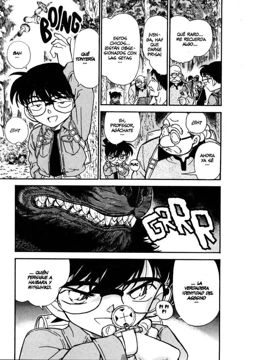 Detective Conan capítulo 274 página 16