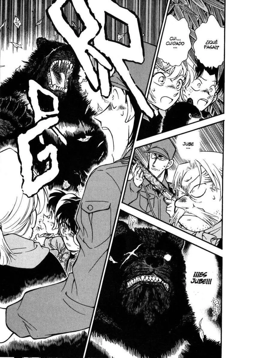 Detective Conan capítulo 275 página 8