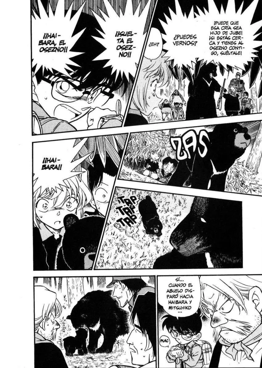 Detective Conan capítulo 275 página 11