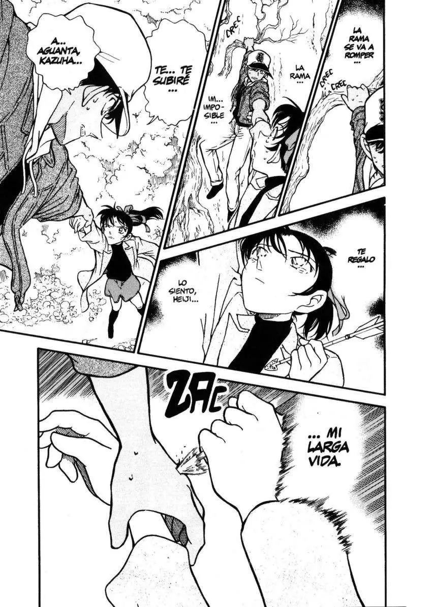 Detective Conan capítulo 282 página 16
