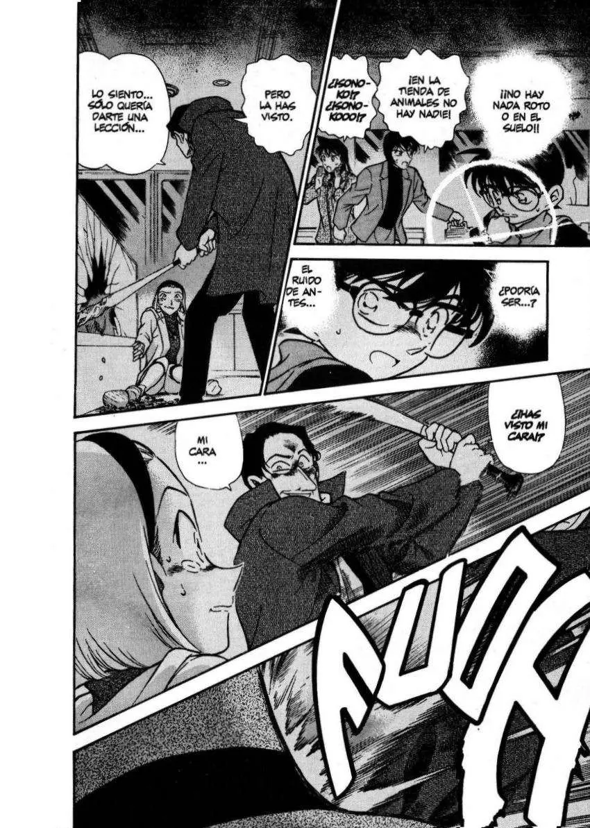 Detective Conan capítulo 286 página 13
