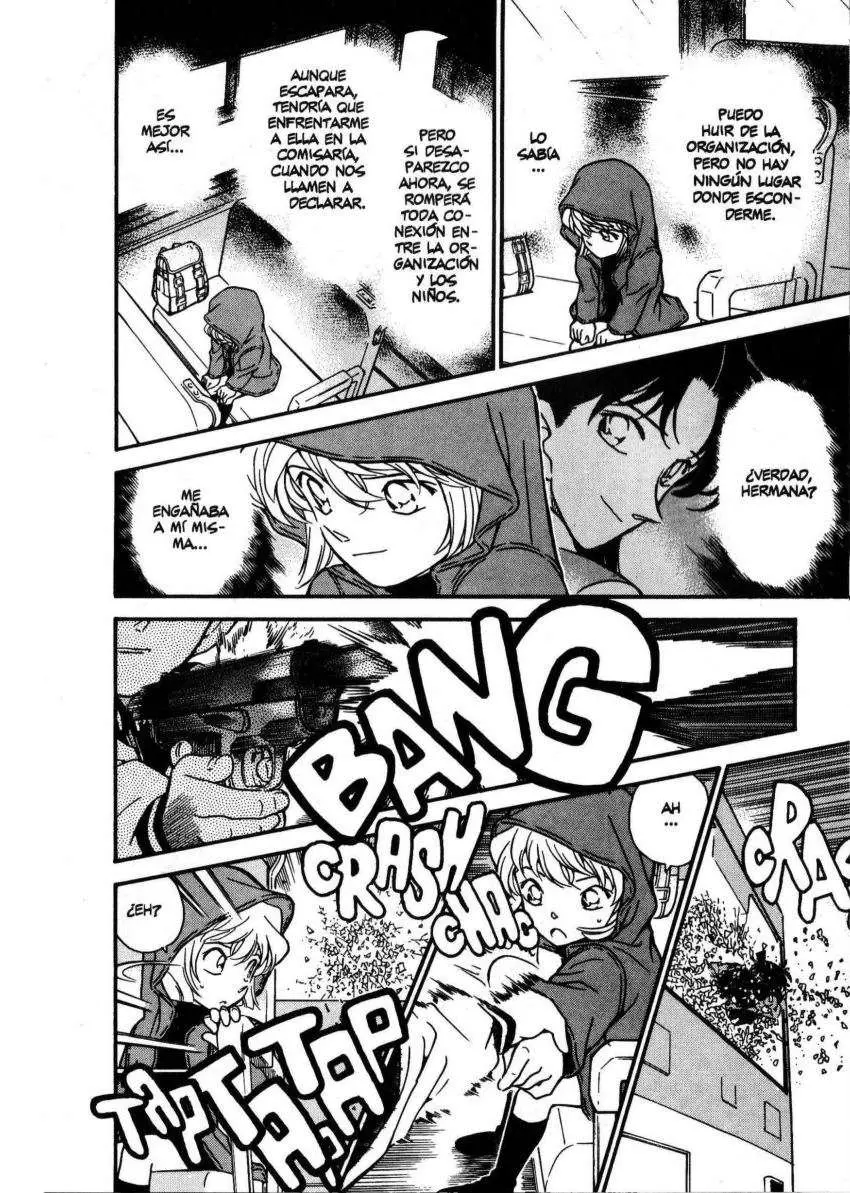 Detective Conan capítulo 289 página 13