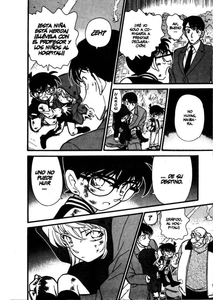 Detective Conan capítulo 289 página 15