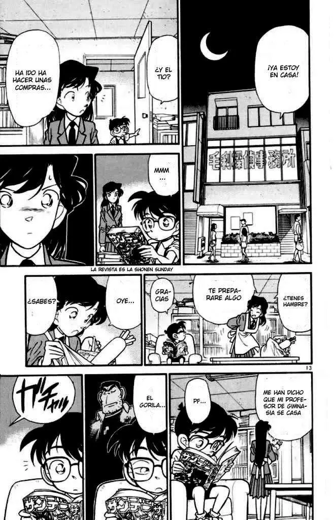 Detective Conan capítulo 29 página 13