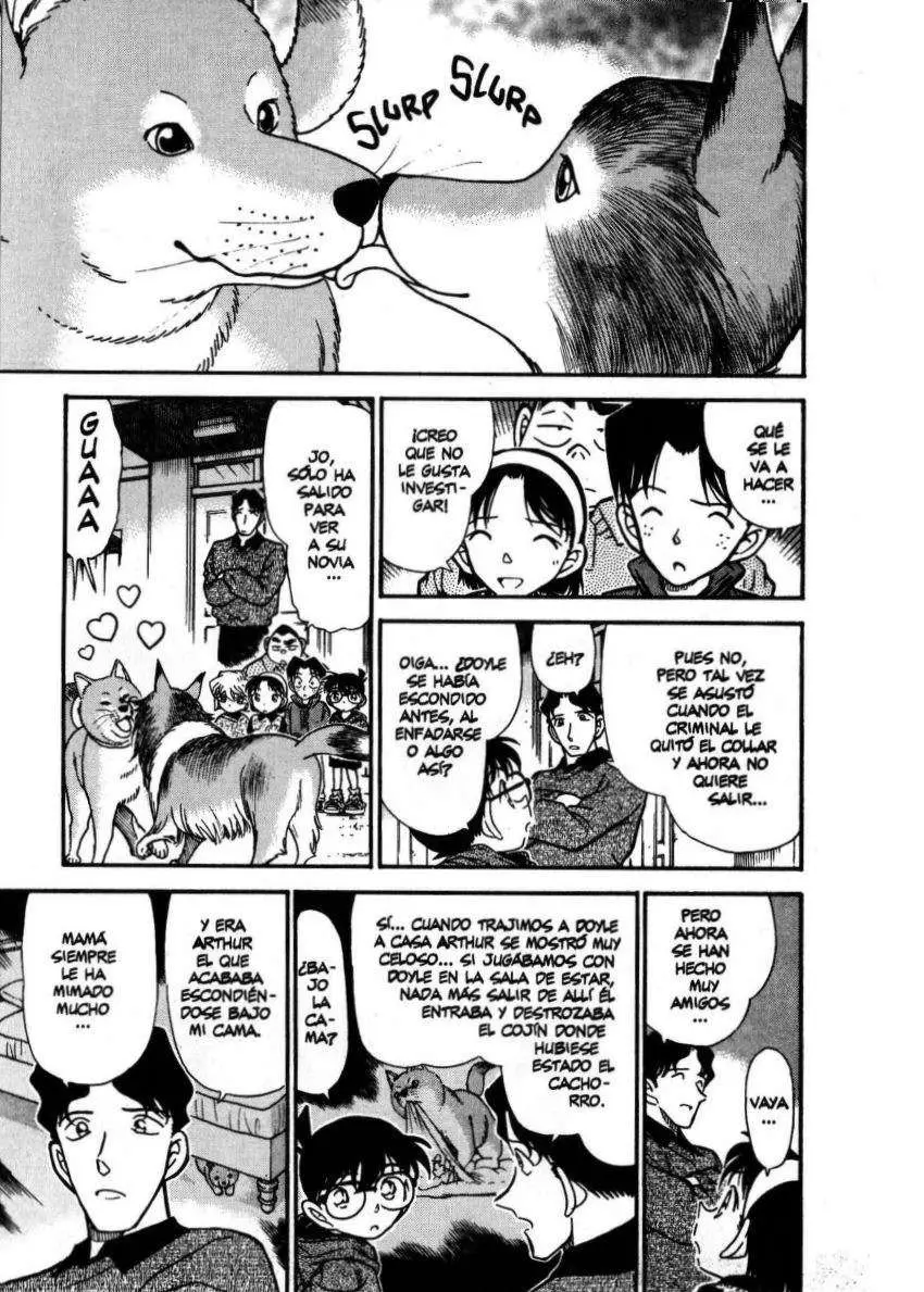 Detective Conan capítulo 291 página 10